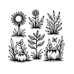 Botanical doodle illustrations creating a varied garden elements sketch set for nature inspired