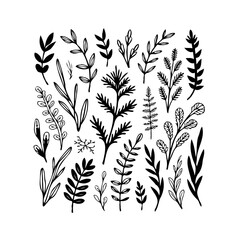 Botanical illustrations with varied leaf shapes enhancing natural designs for a fresh nature