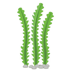 Illustration of three green seaweed plants with gray stones below