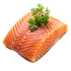 Salmon piece isolated on transparent background