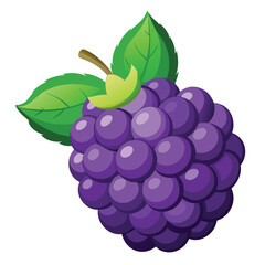 A vibrant illustration of a plump purple blackberry with green leaves