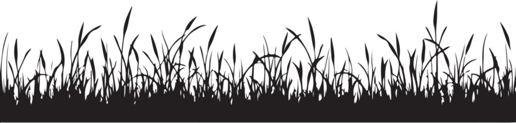 Black silhouette of tall grass and reeds against white