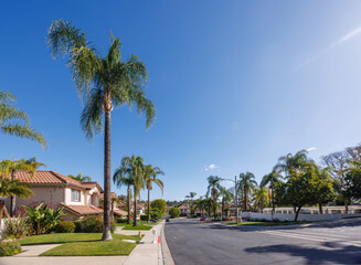 Suburban street with houses in the Los Angeles area