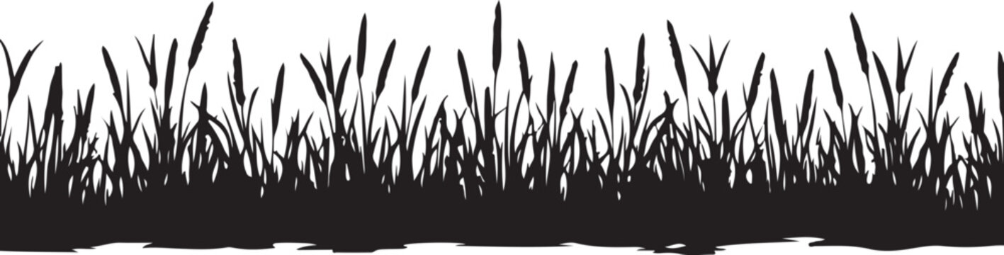 Black silhouette of tall grass and reeds against white