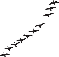 Fototapeta premium Silhouettes of a flock of birds flying in formation against a stark white background, Generative Ai 