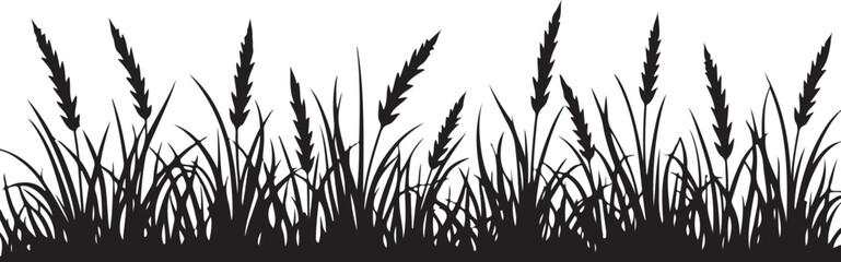 Black silhouette of tall grass and reeds black and white