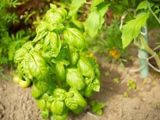 moscow russia . december 05 2023: carhartt american clothing company.carhartt logo