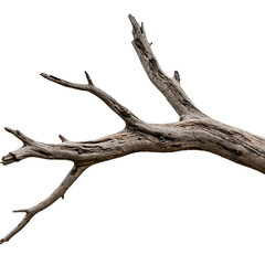 Spooky halloween scene with glowing jack-o'-lanterns and a tombstone with skull isolated on transparent background