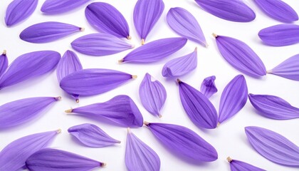 purple flower background