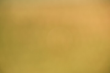 Herbstliche Farben als freundlicher Hintergrund für backdrop und Design