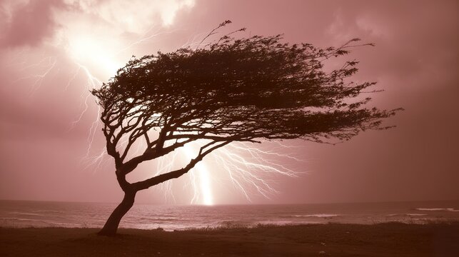 bent. A lone gnarled tree silhouetted against a stormy sky with lightning. travel magazines, destination branding, designed for outdoor magazines and nature guides and travel destination branding.