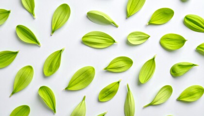 green leaves background