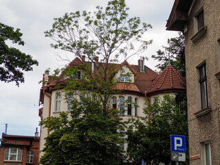 Quaint old European building with detailed wooden elements and a large mature tree growing close to the facade.