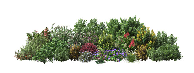 Flower garden and shrub on transparent background