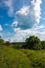 Obraz premium Vibrant summer landscape featuring a winding dirt road through lush green fields, distant forest, and dramatic blue sky with clouds