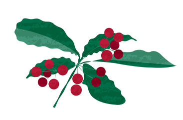 縁起の良い赤いマンリョウの実と葉っぱのイラスト