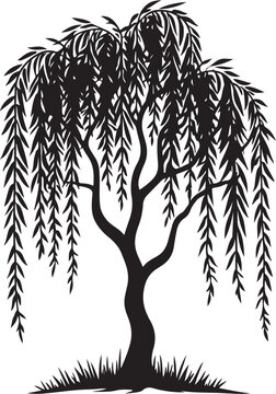 Black silhouette of a weeping willow tree with drooping branches and leaves