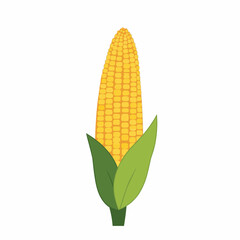 Obraz premium Illustrated Ear of Corn with Green Husks and Yellow Kernels Symbolizing Agriculture and Food in a Minimalist Style on a White Background