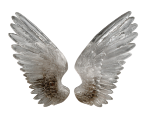 Decorative ice angel wing sculpture pair isolated on black. Ethereal and translucent wings creating magical, holy feeling of purity and hope
