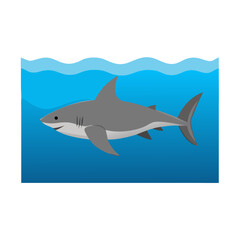 Obraz premium Shark Swimming Flat Icon