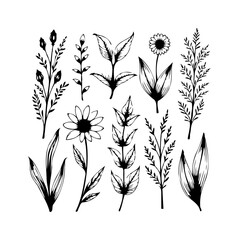 Elegant botanical illustrations featuring delicate flower and leaf motifs in a graceful