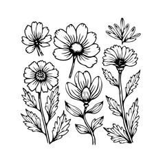 Elegant floral arrangement of hand-drawn botanical elements ideal for wedding stationery and