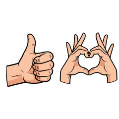 Human hands forming a thumbs up gesture and a heart shape isolated on transparent background