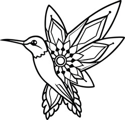 Mandala Patterned Hummingbird Line Art Illustration on Transparent Background