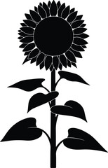 Vector silhouette single sunflower with leaves illustration