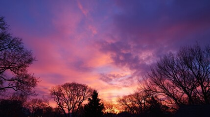 A beautiful sunset with a pink sky and trees in the background. The sky is filled with clouds and the sun is setting