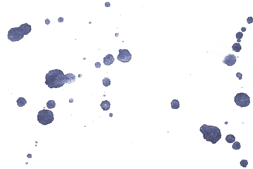 Blue stains on a transparent background, suitable for overlays, textures, and creative graphic designs.