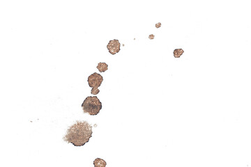 Brown stains on a transparent background, ideal for overlays, textures, and artistic design projects.