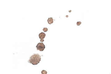 Brown stains on a transparent background, ideal for overlays, textures, and artistic design projects.