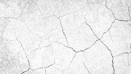 Dry Cracked Ground Texture with Clear Lines and Light Background