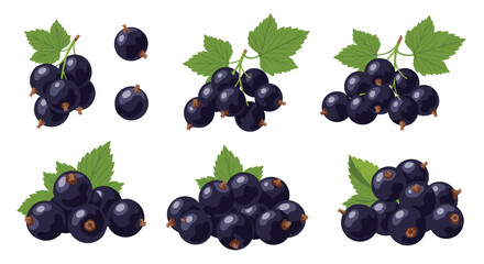 A collection of fresh dark purple berries with green leaves illustrating different clusters and individual fruits for a healthy and delicious food concept.