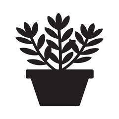 "Succulent Crassula Silhouette in Minimalist Simple Style"