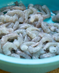 Fresh shrimp for cooking ceviche in El Cuyo, a fishing village on Mexico's Yucatan Peninsula.