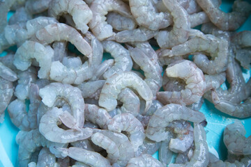 Fresh shrimp for cooking ceviche in El Cuyo, a fishing village on Mexico's Yucatan Peninsula.