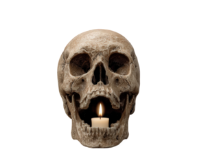 Spooky horror skull with burning candle light inside its dark mouth. macabre symbol of death for Halloween celebration, human bone isolated on transparency background