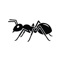 Silhouette of an ant icon vector graphic isolated on white vector