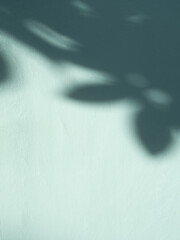 Blue background, abstract shadow line wall winter backdrop empty frame template for presentation product summer or cosmetic beauty skin care, banner organic elegant interior minimal