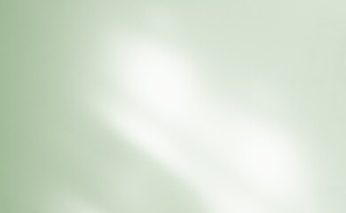 Background green abstract line shadow overlay on cement wall floor beige mockup product cosmetic summer tropical nature presentation frame template eco backdrop environment