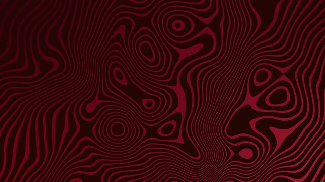 Dynamic Deep Red Abstract Lines Creating a Flowing Hypnotic Topographic Wave Pattern. Stock Footage