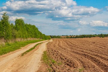 Winding dirt road meanders alongside a freshly plowed field under a vast sky, offering a glimpse of rustic tranquility and the breath of nature
