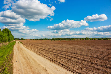 A rural dirt road winding beside a vast freshly plowed field under a bright blue sky with fluffy white clouds, showcasing tranquil agricultural beauty © PhotoChur