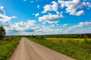 A dirt road winds through blooming dandelion fields under a vast, cloud-strewn blue sky, stretching into the distance as a beacon of journey
