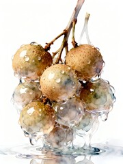Surreal Fruits Series : A delicious looking healthy bunch of ripe yellowish-brown longans on a white background suitable for graphic design and decoration 002