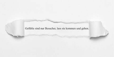 Gefühle sind nur Besucher, lass sie kommen und gehen.