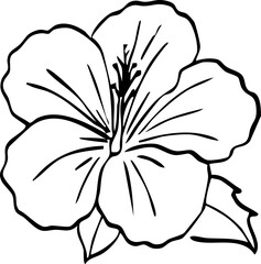 Hibiscus Flower Illustration &mdash; Tropical Spa Floral Doodle