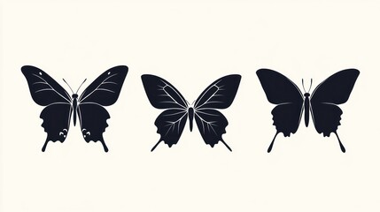 Silhouettes of three butterflies on a light background.  Possible use Educational material,  illustration, graphic design